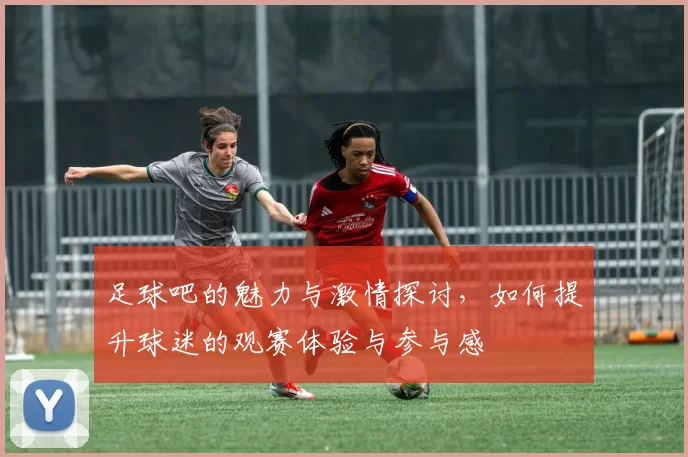 足球吧的魅力与激情探讨，如何提升球迷的观赛体验与参与感