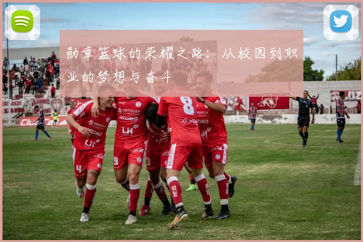 勋章篮球的荣耀之路：从校园到职业的梦想与奋斗